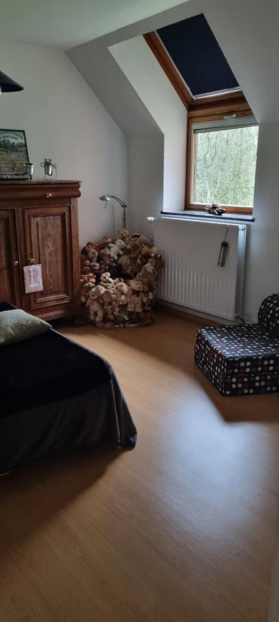 Des Etangs De Saint Bale Apartment Vrigne-aux-Bois