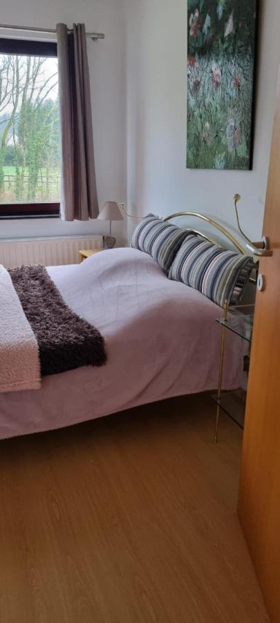 Des Etangs De Saint Bale Apartment Vrigne-aux-Bois