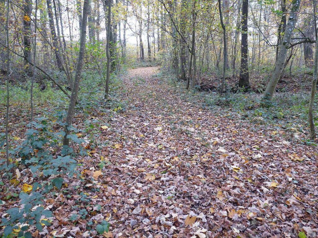 Apartment Des Etangs De Saint Bale Vrigne-aux-Bois