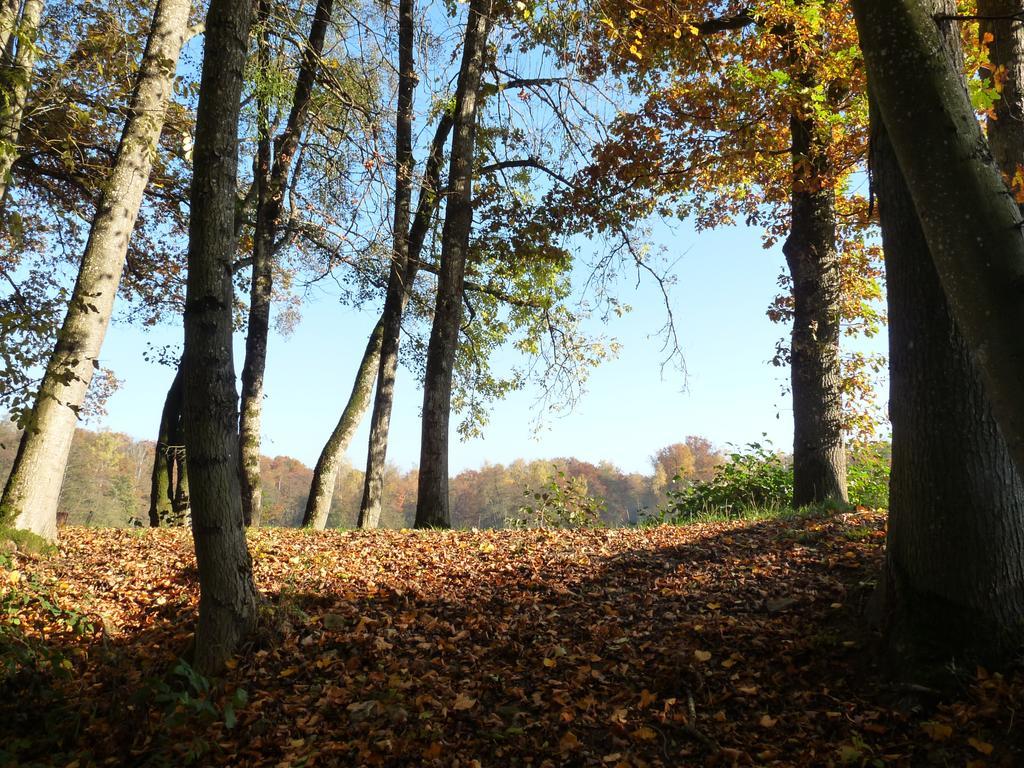Apartment Des Etangs De Saint Bale *