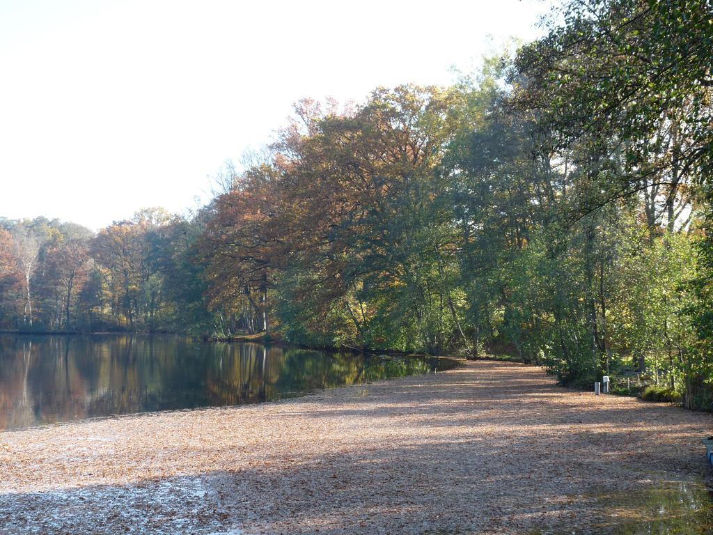 Des Etangs De Saint Bale Vrigne-aux-Bois