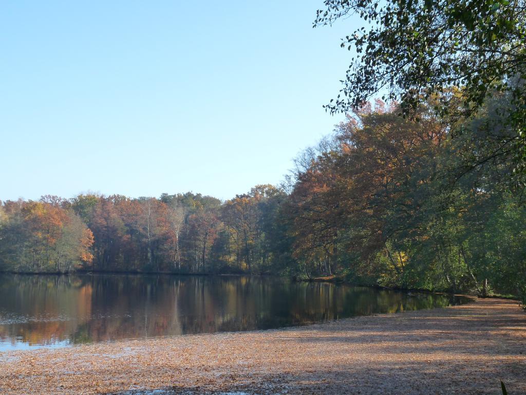 Des Etangs De Saint Bale