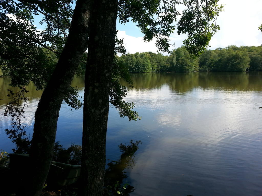 Apartment Des Etangs De Saint Bale