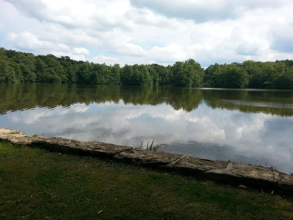 Apartment Des Etangs De Saint Bale