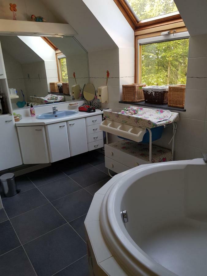 Des Etangs De Saint Bale * Vrigne-aux-Bois